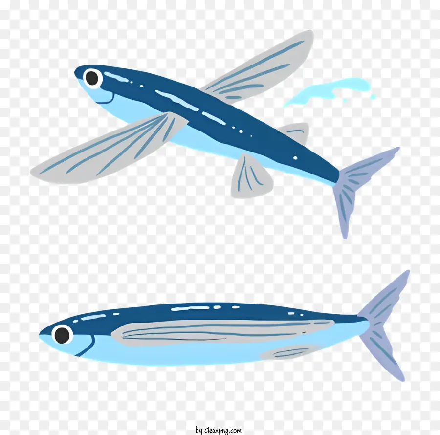 Рыбы，Два рыбных иллюстрации PNG