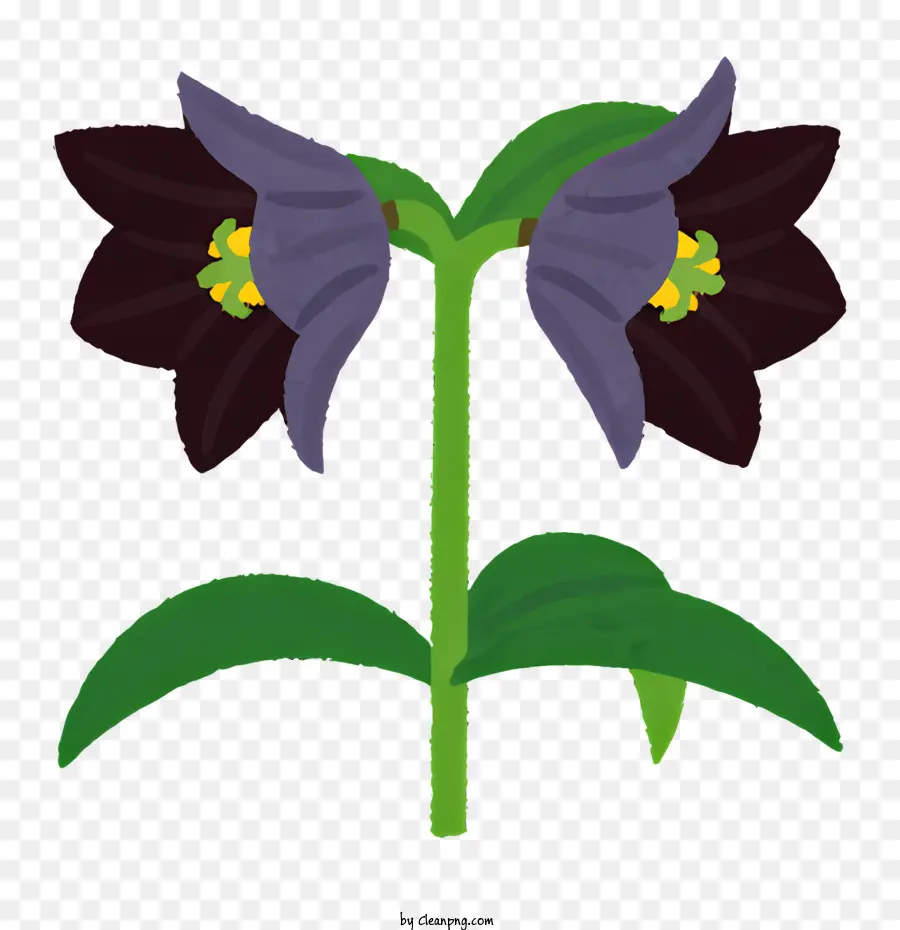цветок，черный цветок PNG