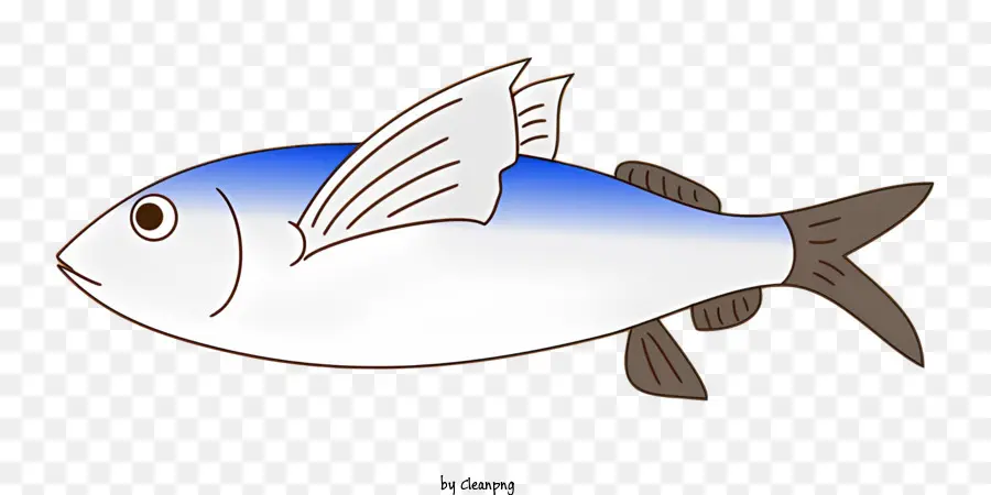 Рыбы，удлиненное тело PNG