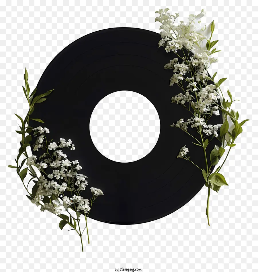 виниловая пластинка，белые цветы PNG