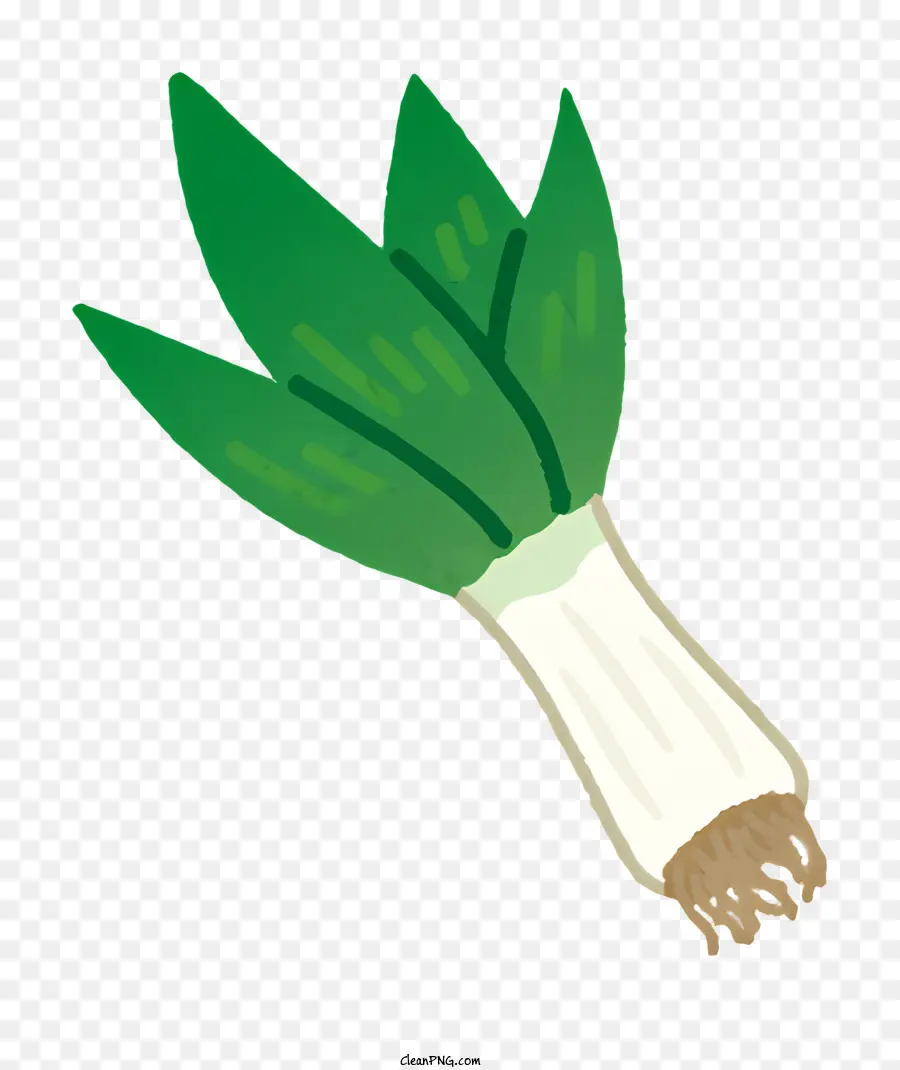 Овощ，зеленый лук PNG