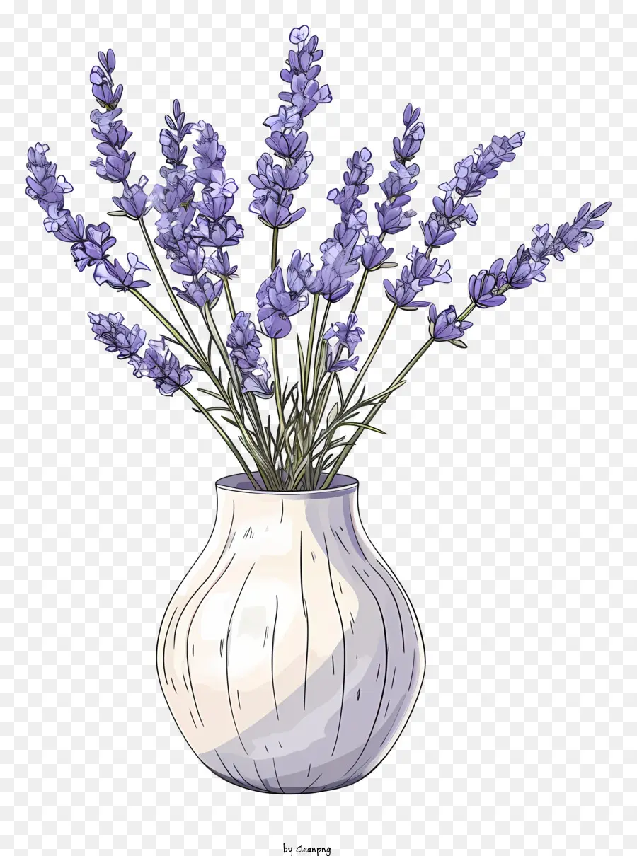Лаванда в вазе，фиолетовые стебли PNG