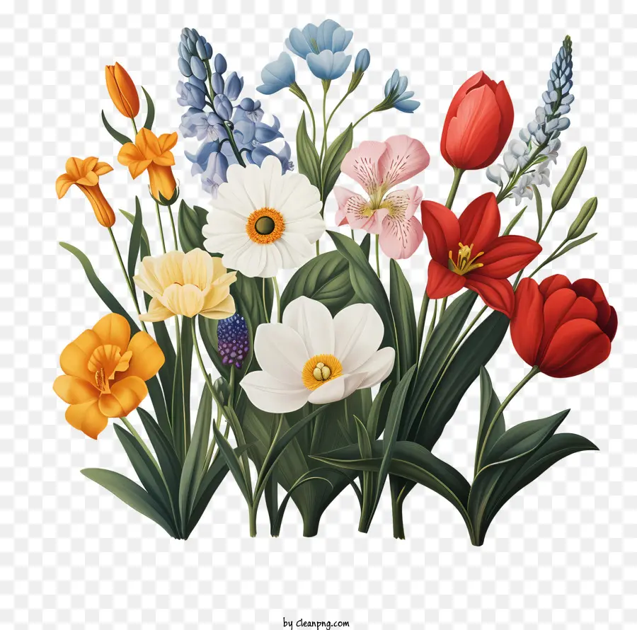 весенние цветы，тюльпаны PNG