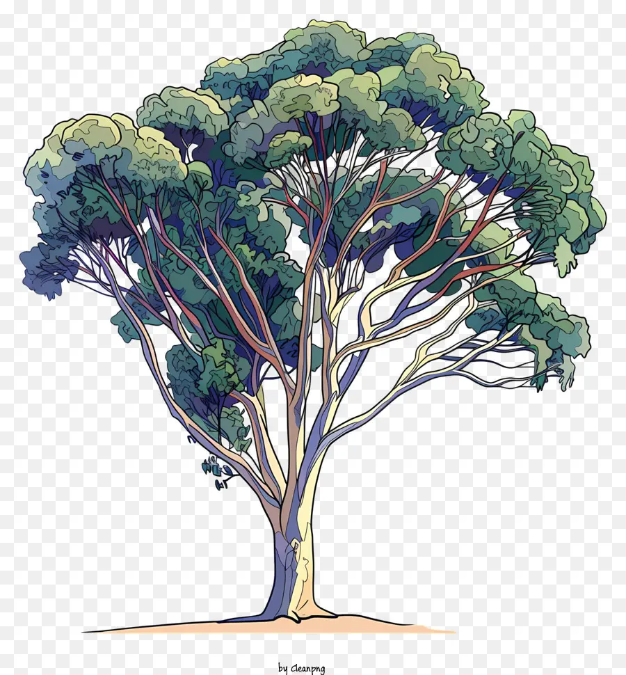 Дерево，лес PNG