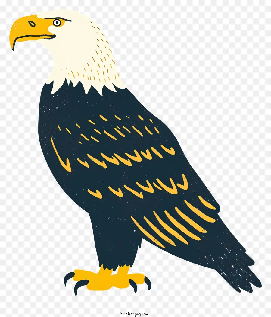 Орел，Птица PNG
