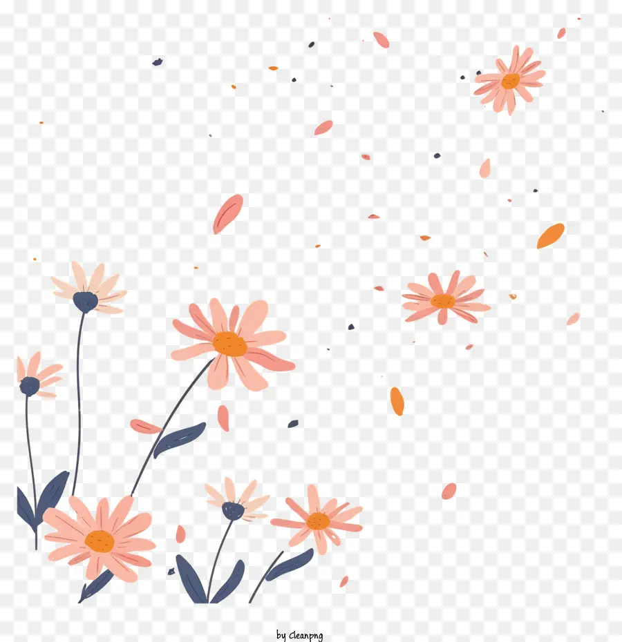 Летающие Цветы，Daisies PNG