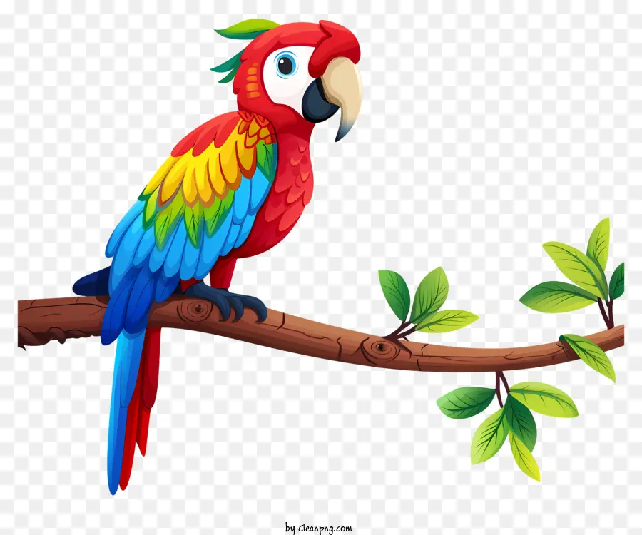 Ара，красочный попугай PNG