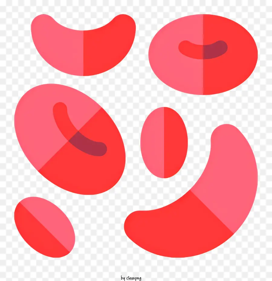 Клетки крови，красные кровяные клетки PNG