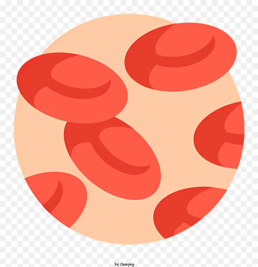 кровяная клетка，красные кровяные клетки PNG