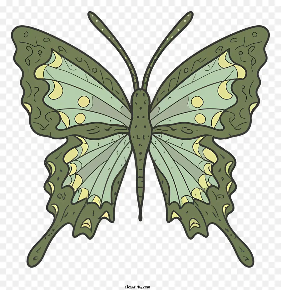 Бабочка，зеленая бабочка PNG