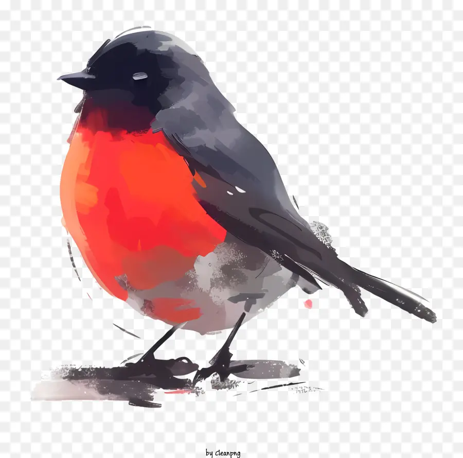 Птица，живопись птица PNG