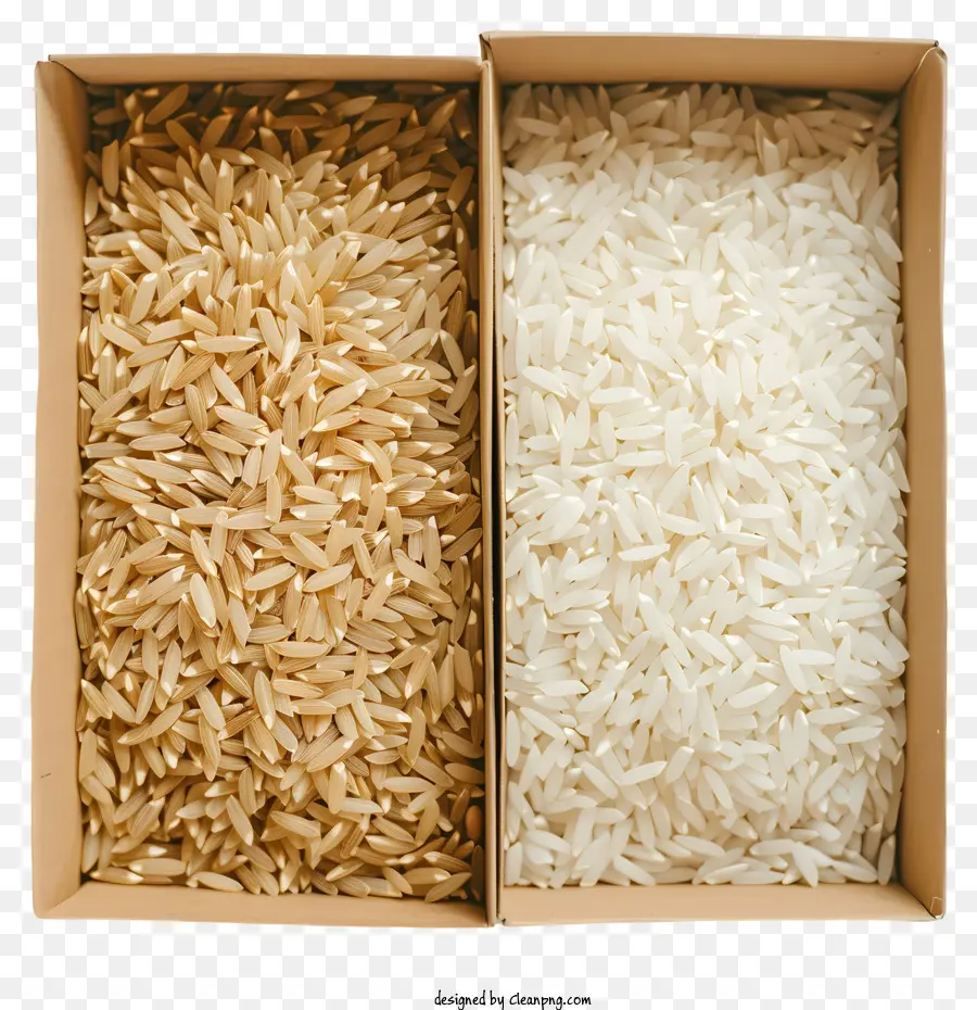 рис，рис из коробки PNG
