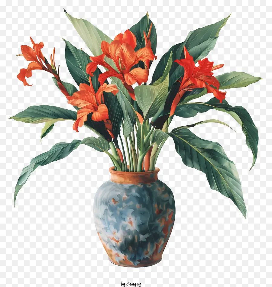 Canna Indica Flowers，Ваза PNG