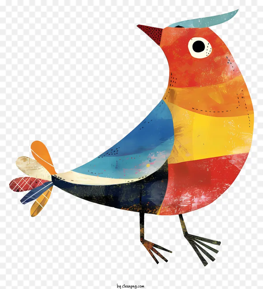 причудливая птица，красочные птицы PNG