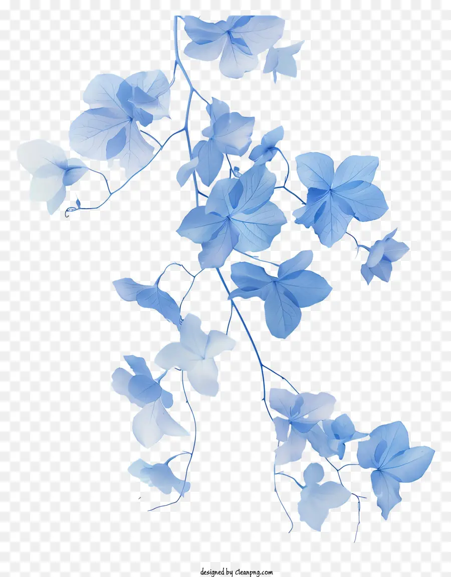 Синяя цветочная лоза，синие цветы PNG