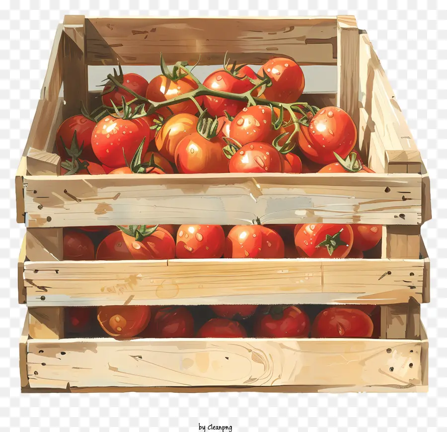 Помидоры Черри，красные помидоры PNG