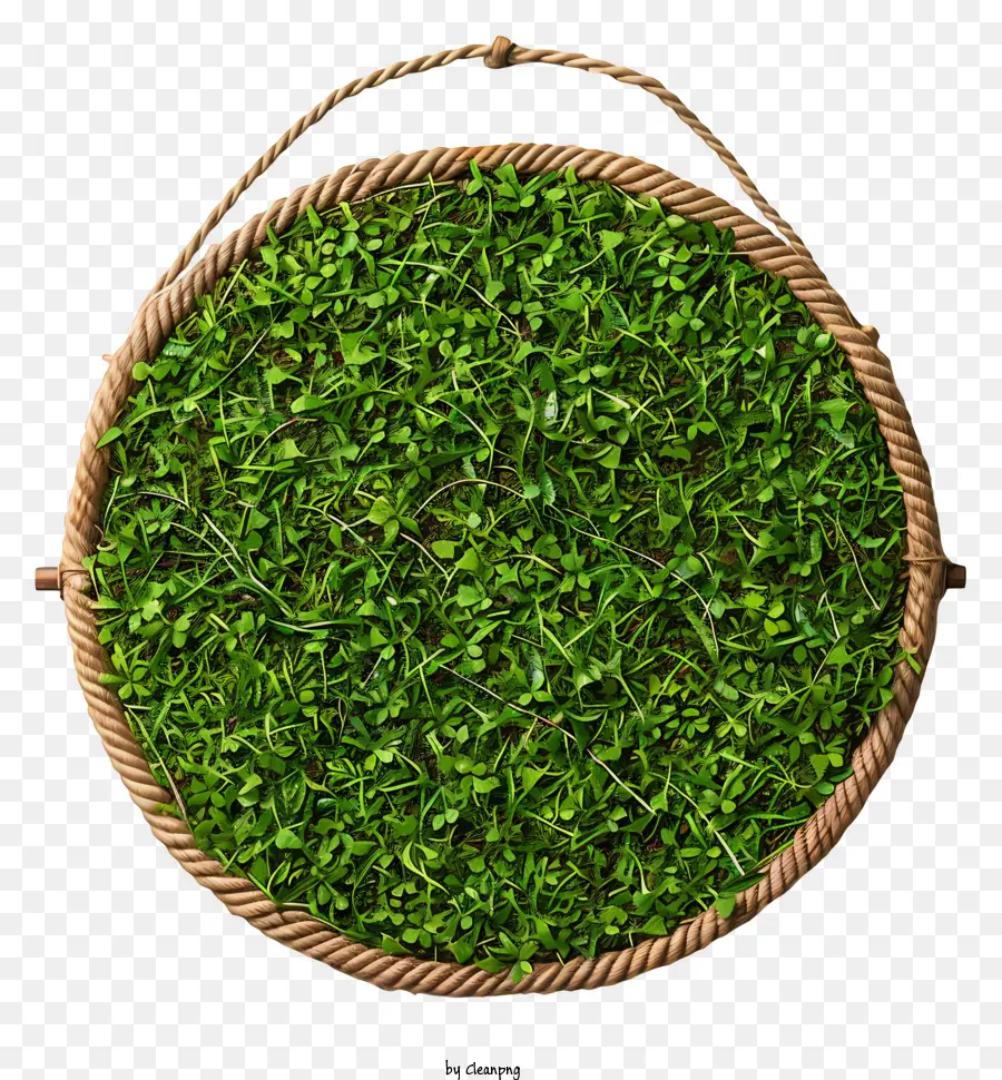 зеленая трава，Корзина PNG