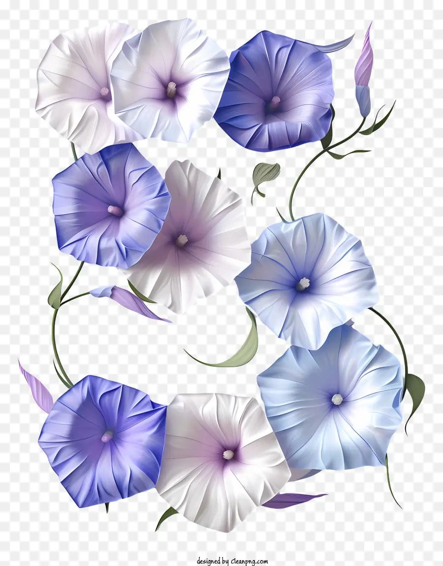 Цветочный номер пять，белый и синий цветок PNG