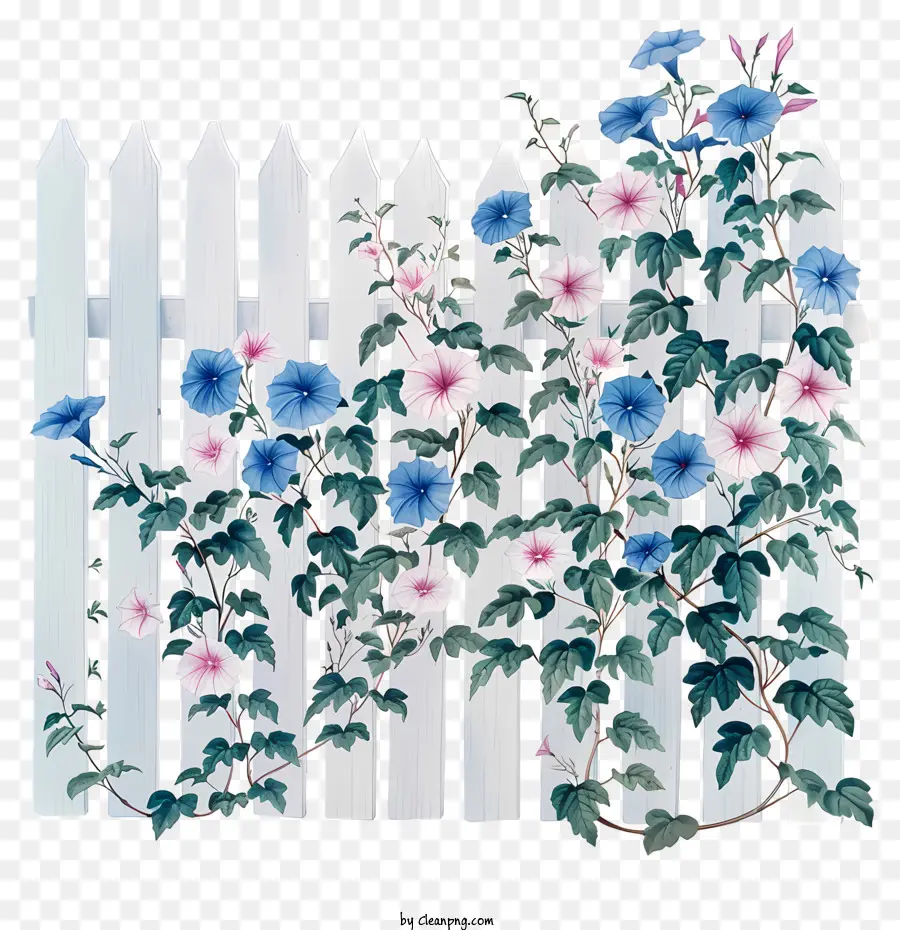 садовый забор，цветок живопись PNG