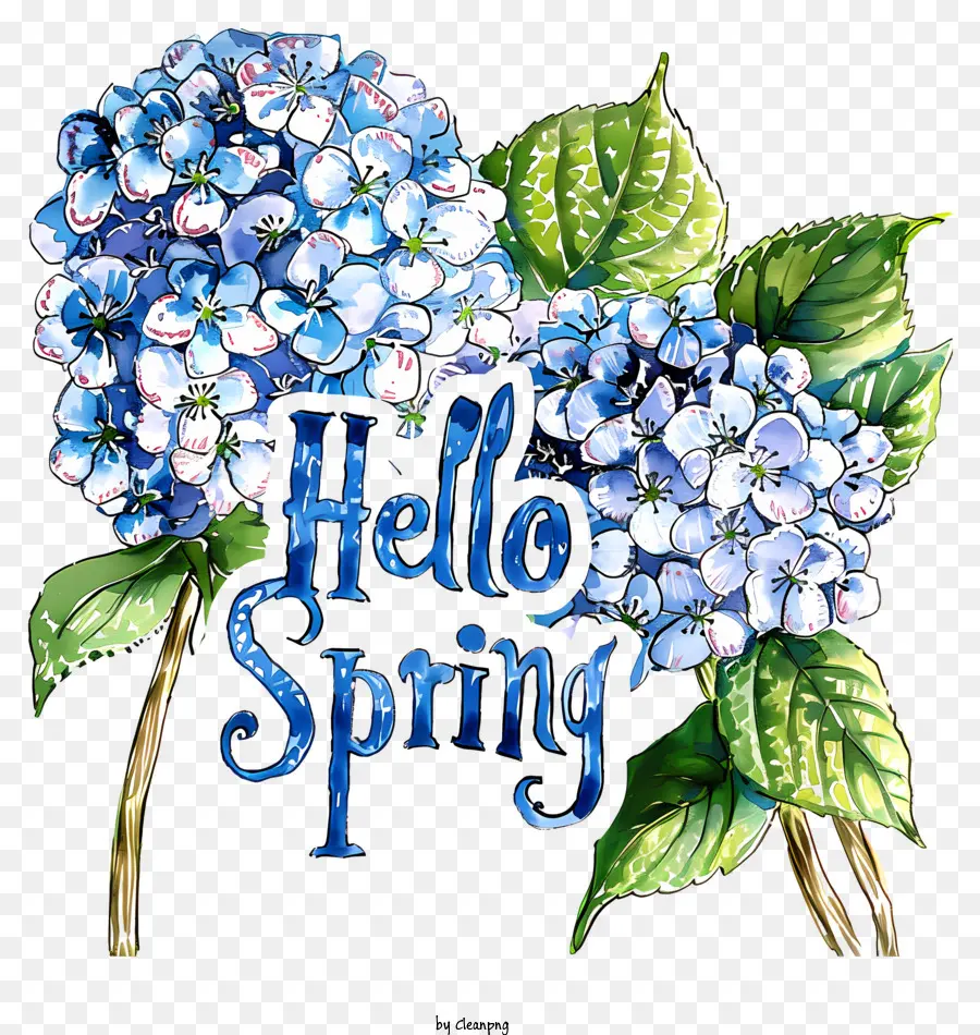 привет весна，Гортензия цветок PNG
