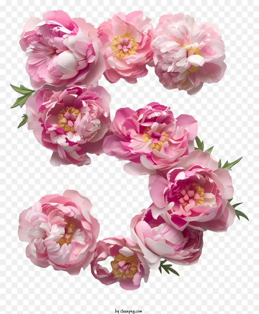 Цветочный номер пять，розовые пионы PNG