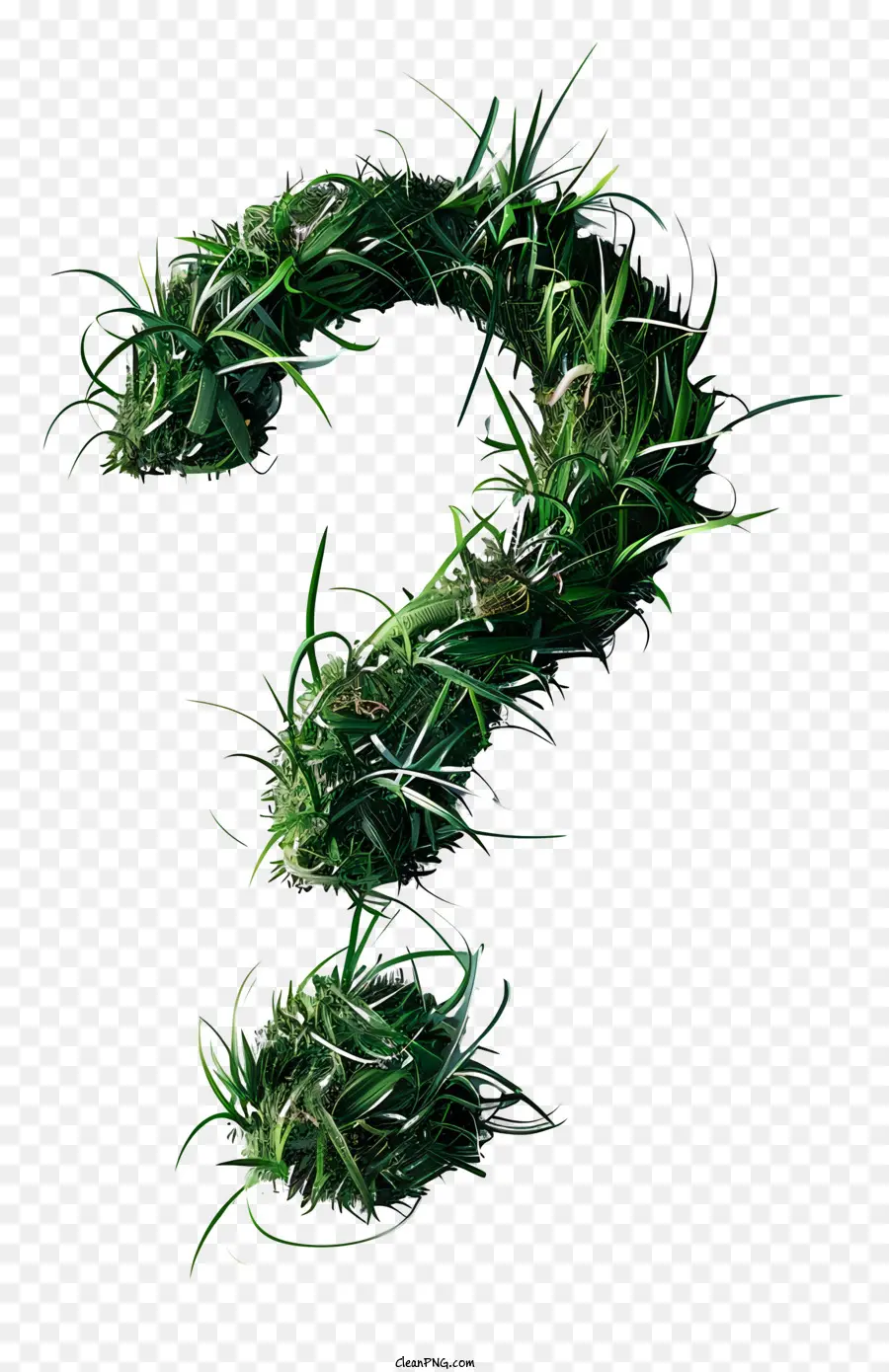 Вопросительный знак，зеленая трава PNG
