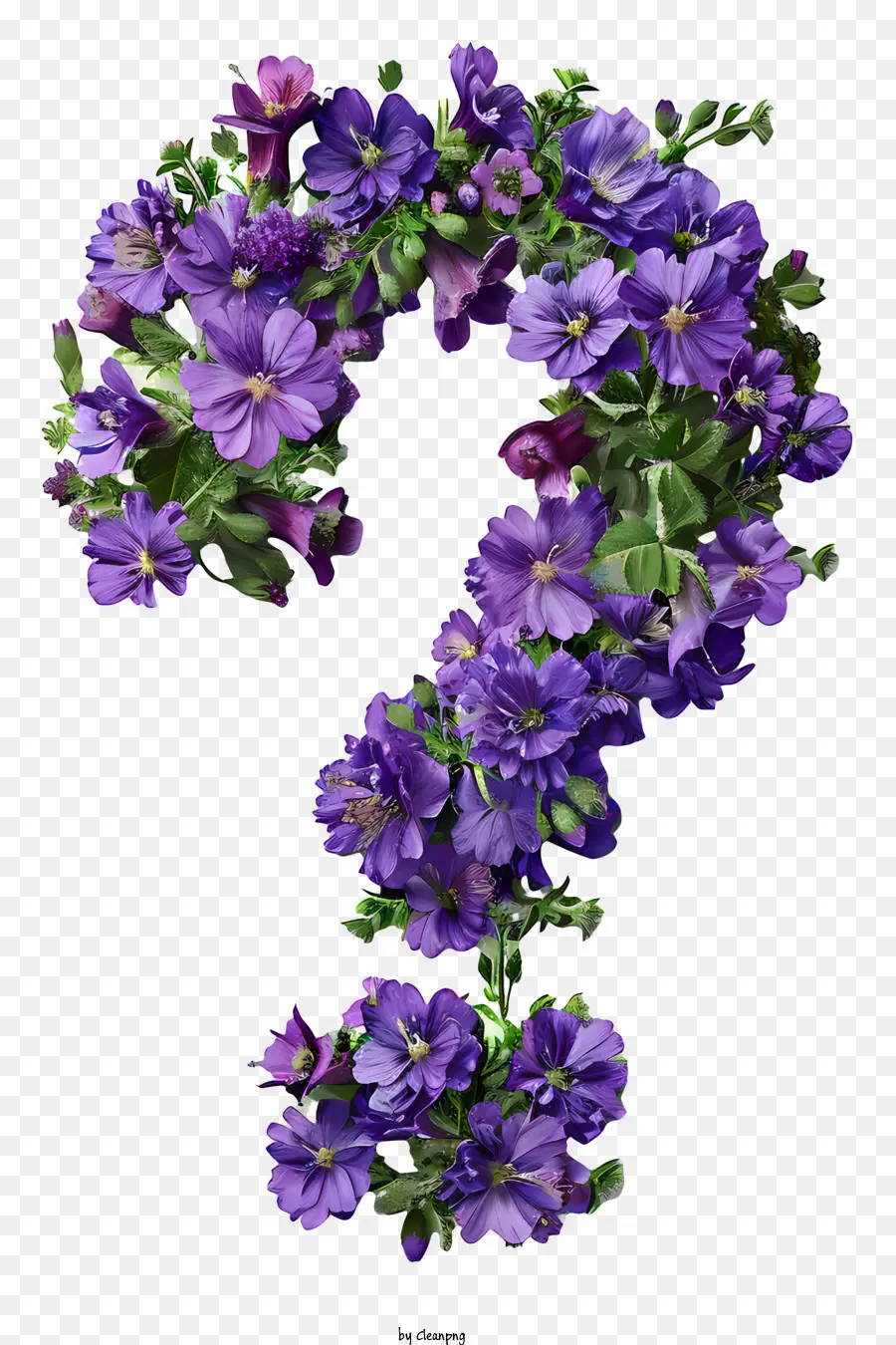 Вопросительный знак，фиолетовые цветы PNG
