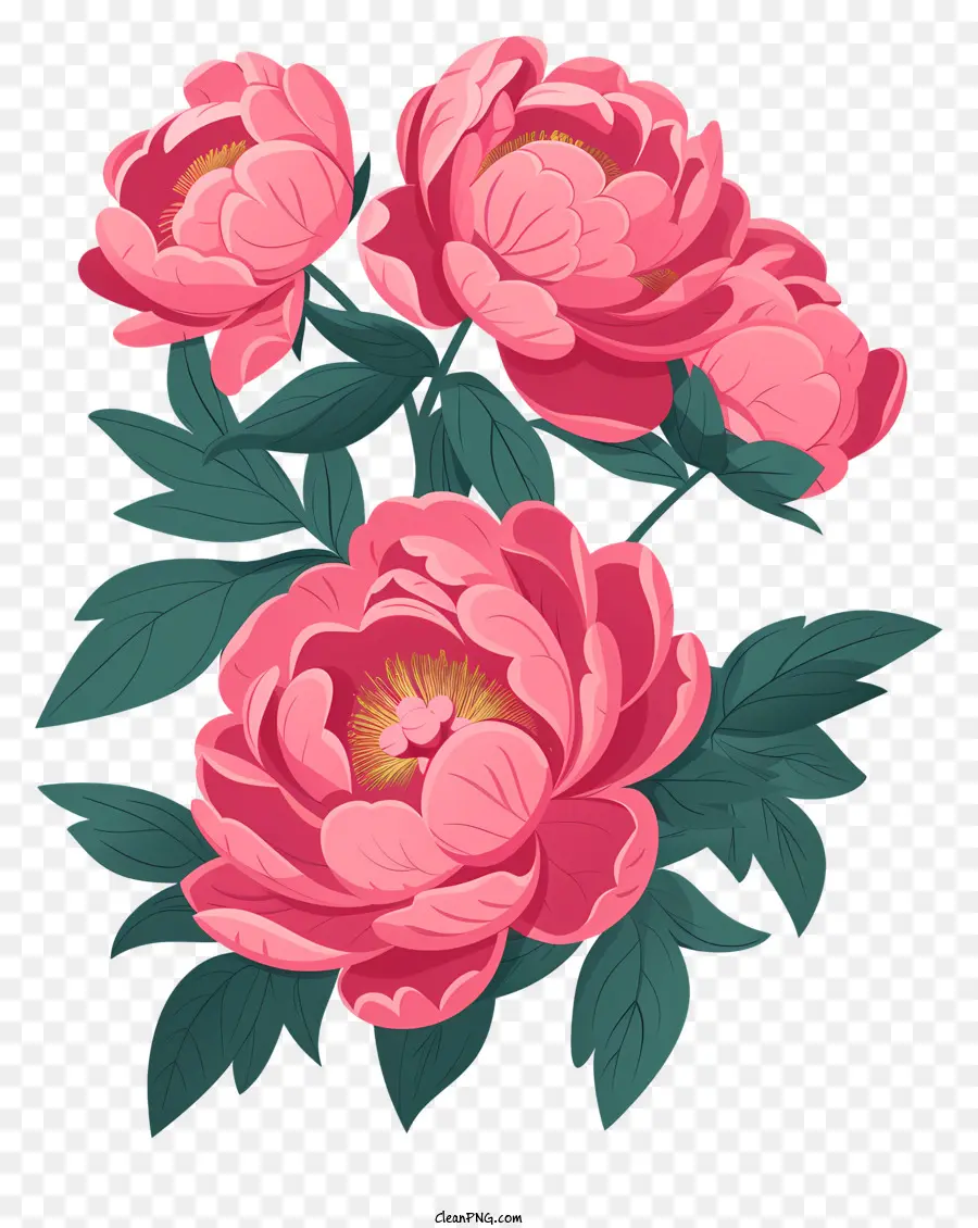 Расположение цветов пиона，розовый пион PNG