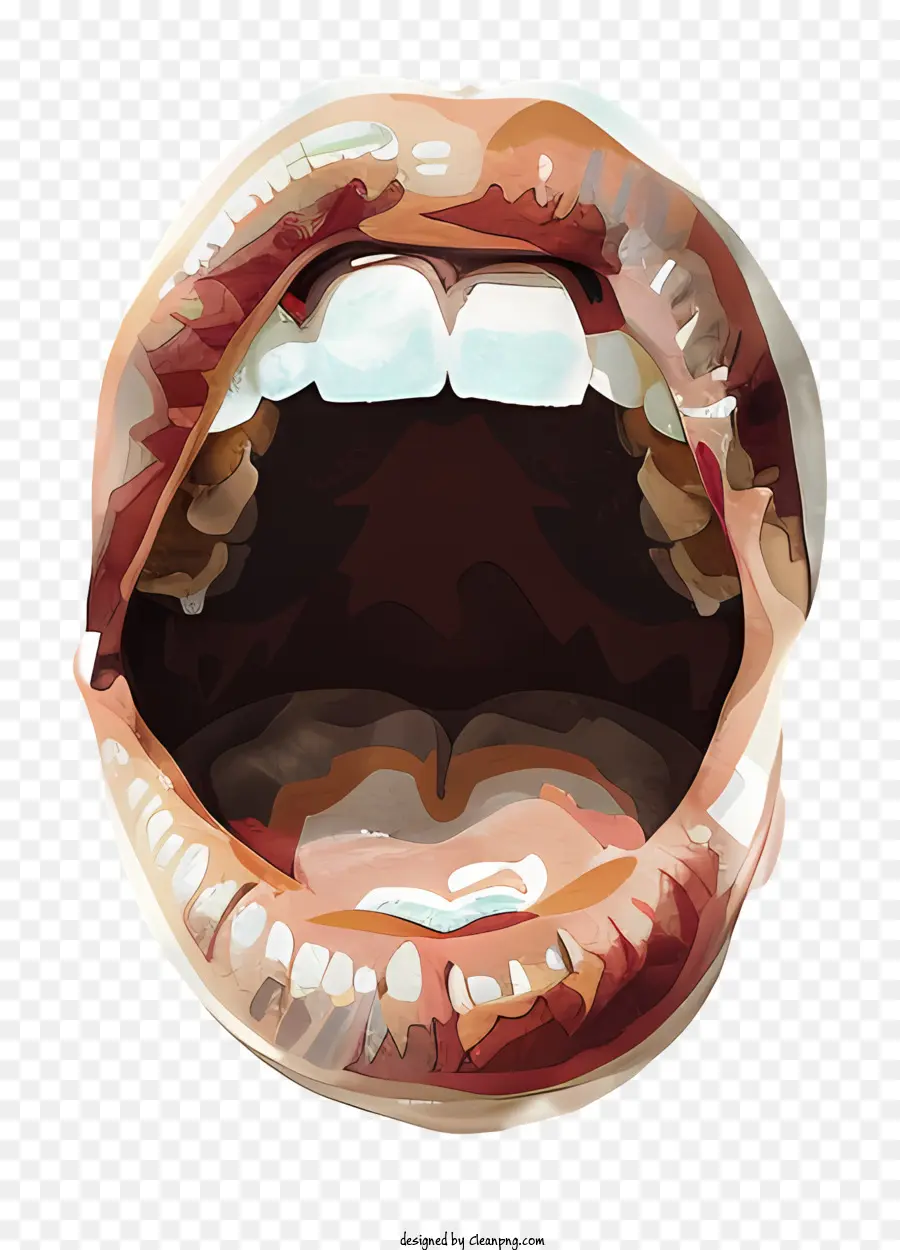 Рот，Зубы PNG