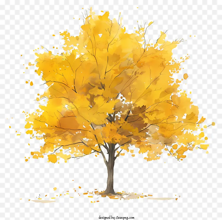 Желтое кленовое дерево，рисунок дерева PNG