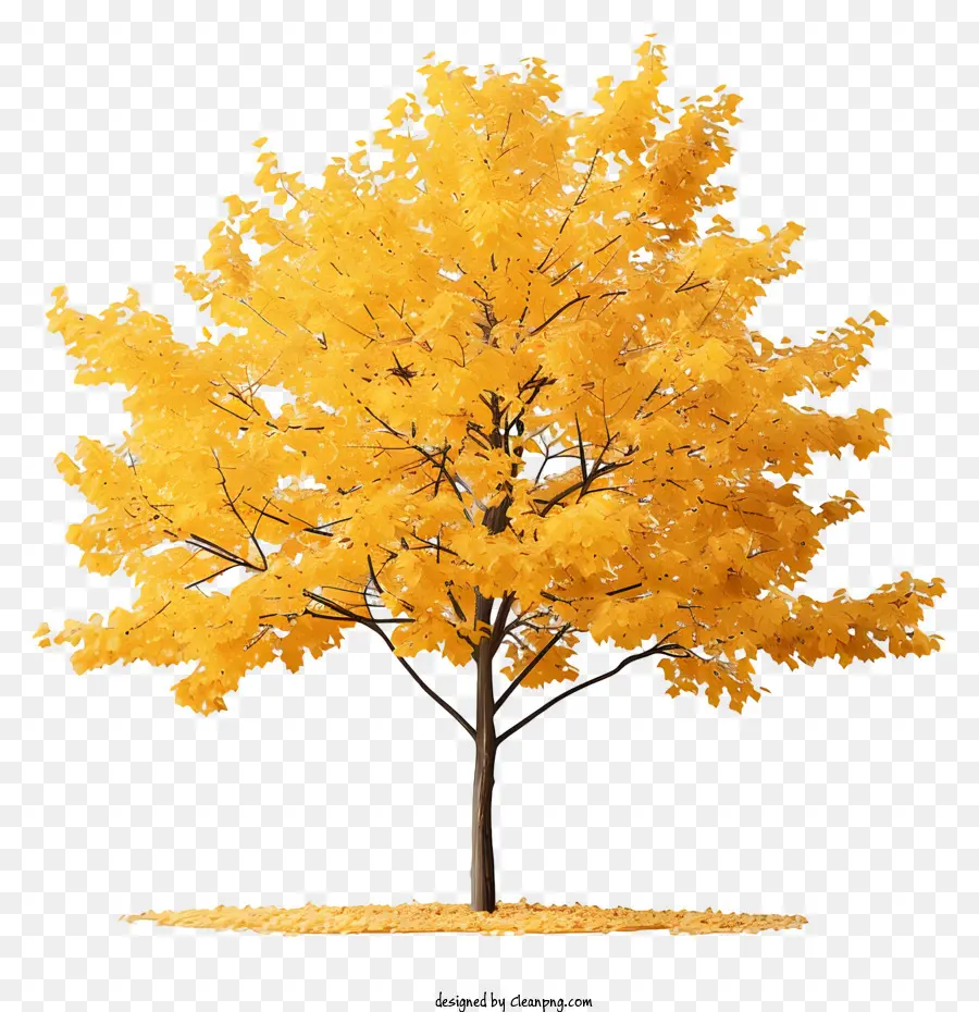 Желтое кленовое дерево，одиночное дерево PNG