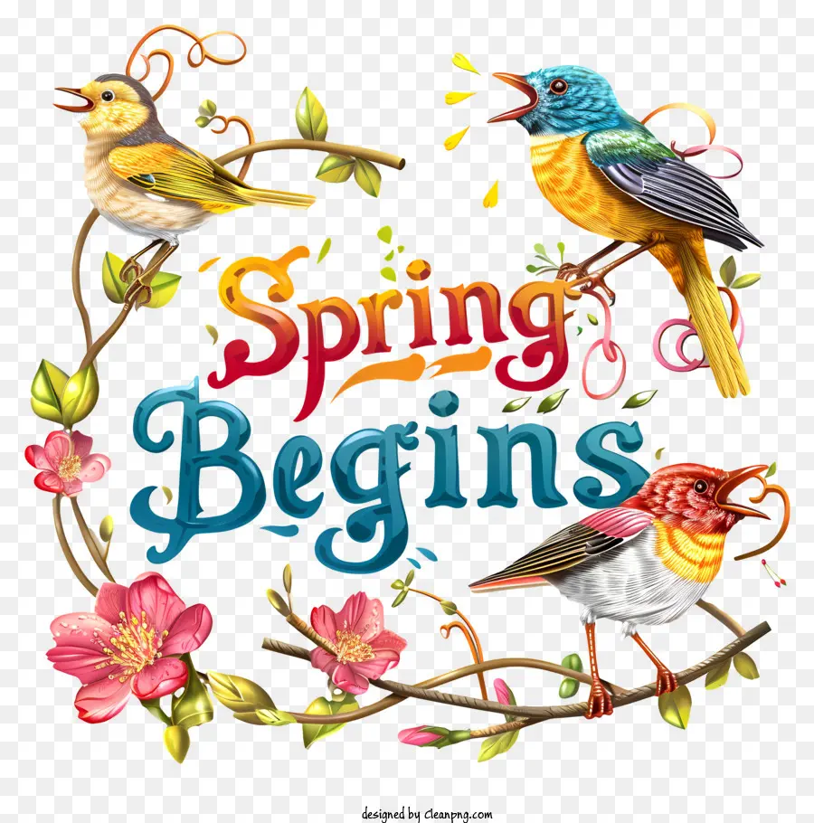 Весна начинается，Birds PNG