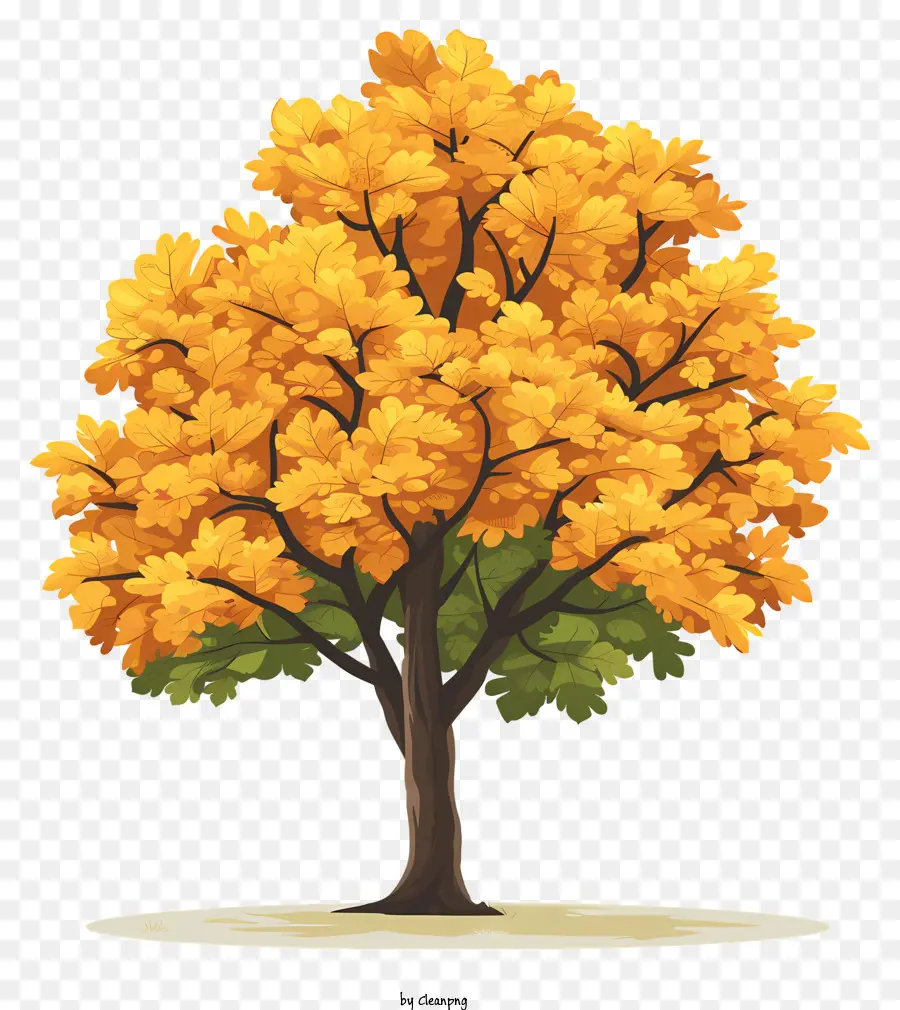 Желтое кленовое дерево，Осень PNG