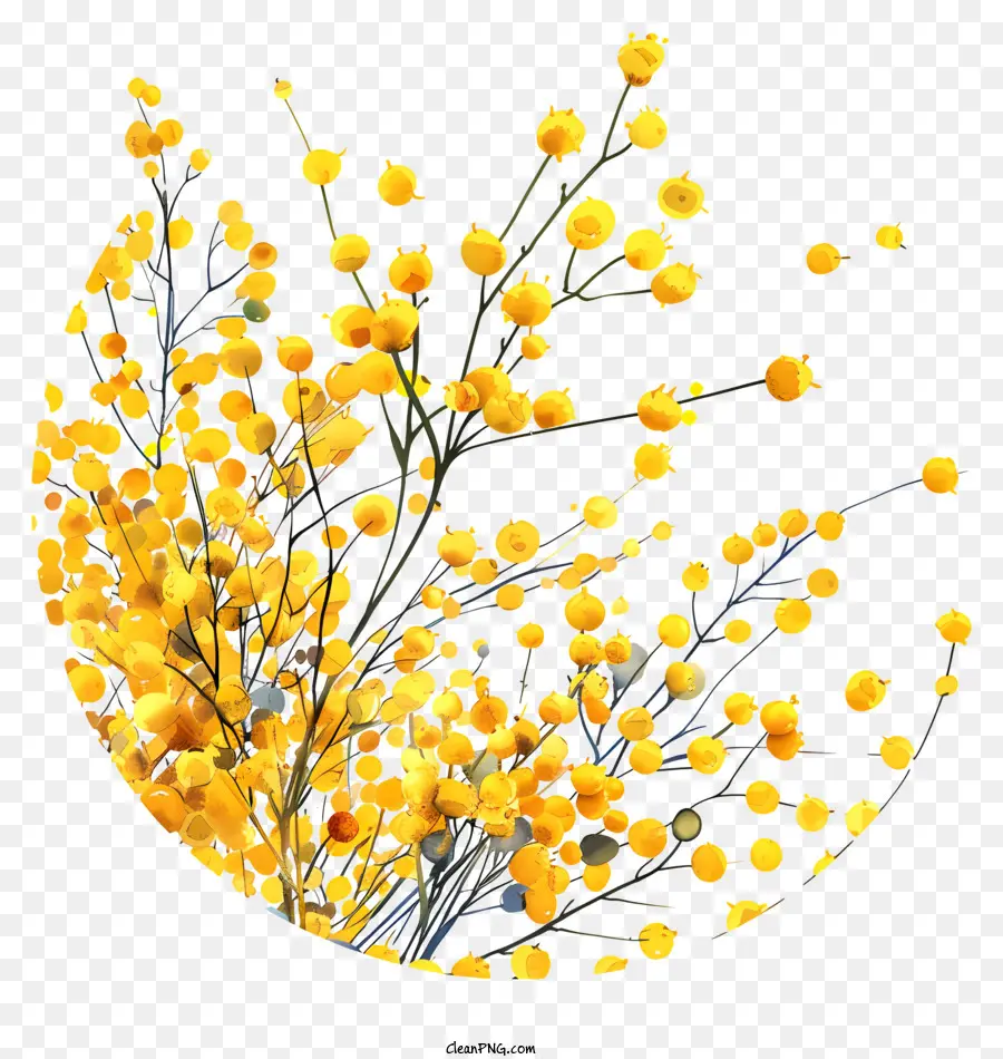 Мимоза Цветы，желтый цветок PNG
