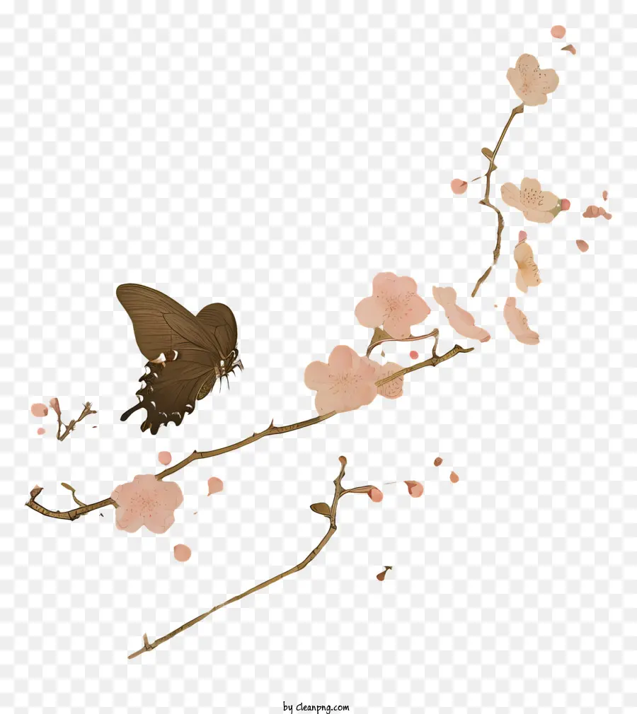 бабочка，розовые цветы PNG