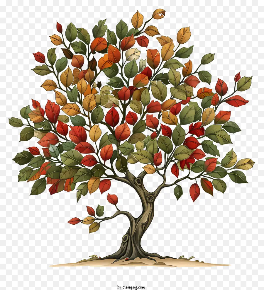 осеннее дерево，красочное дерево PNG