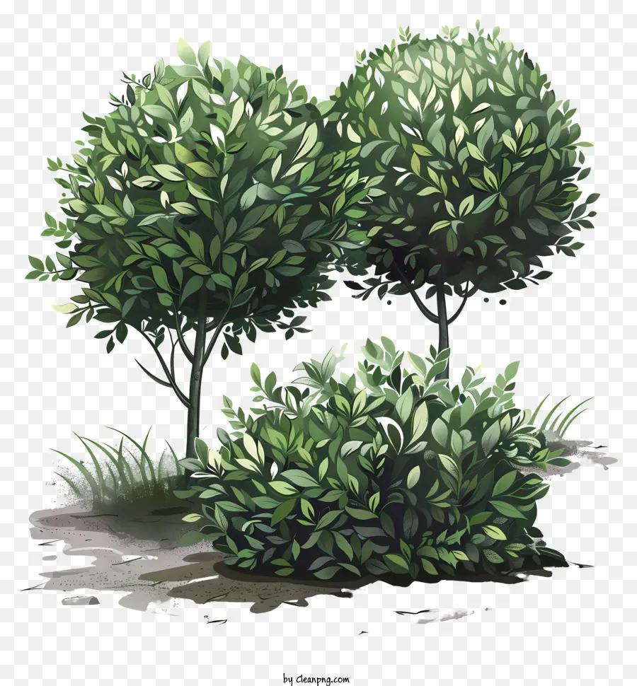 кусты，деревья PNG