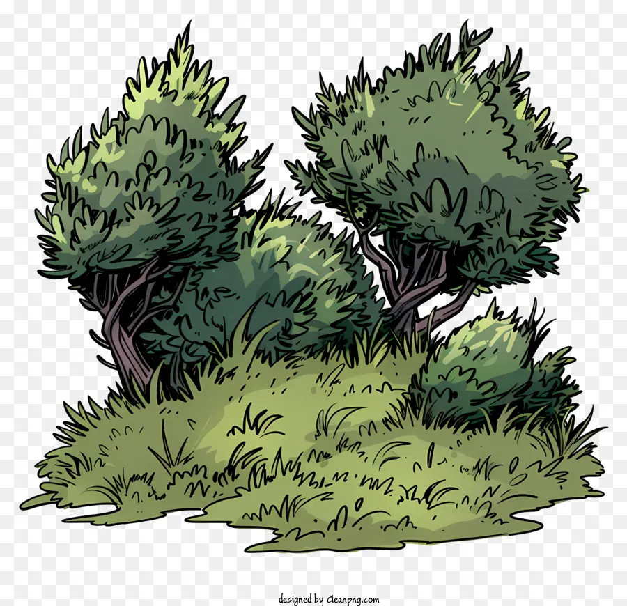 кусты，зеленые деревья PNG
