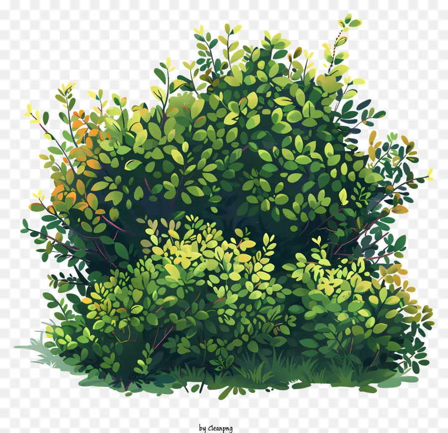 кусты，зеленые листья PNG