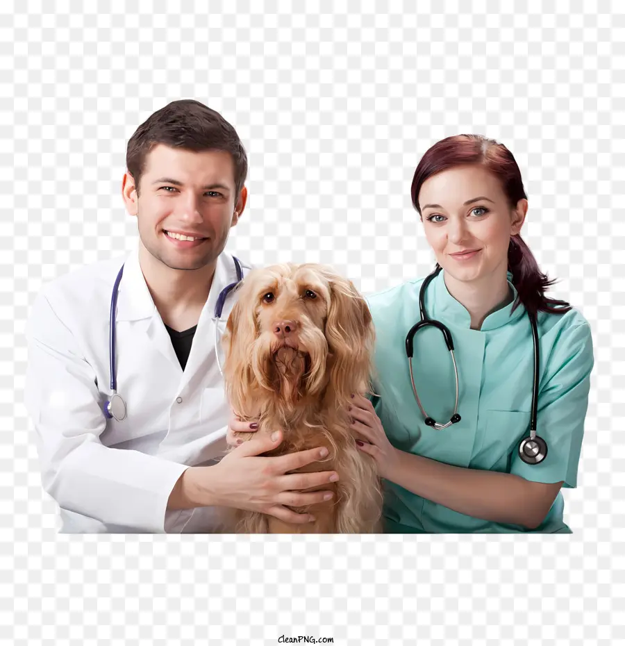 Собака，медицинские работники PNG