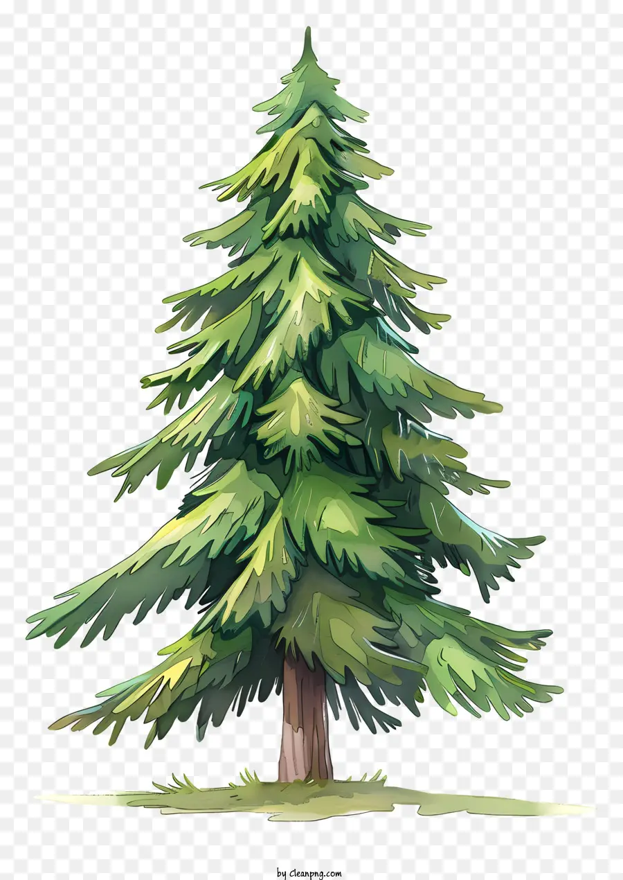 елка，Дерево PNG