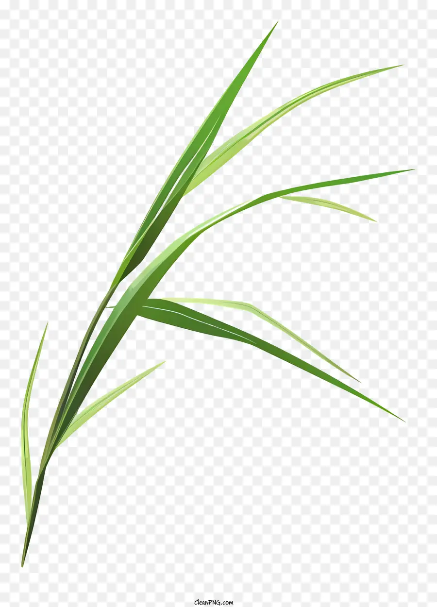 небольшой трава，травяной лист PNG