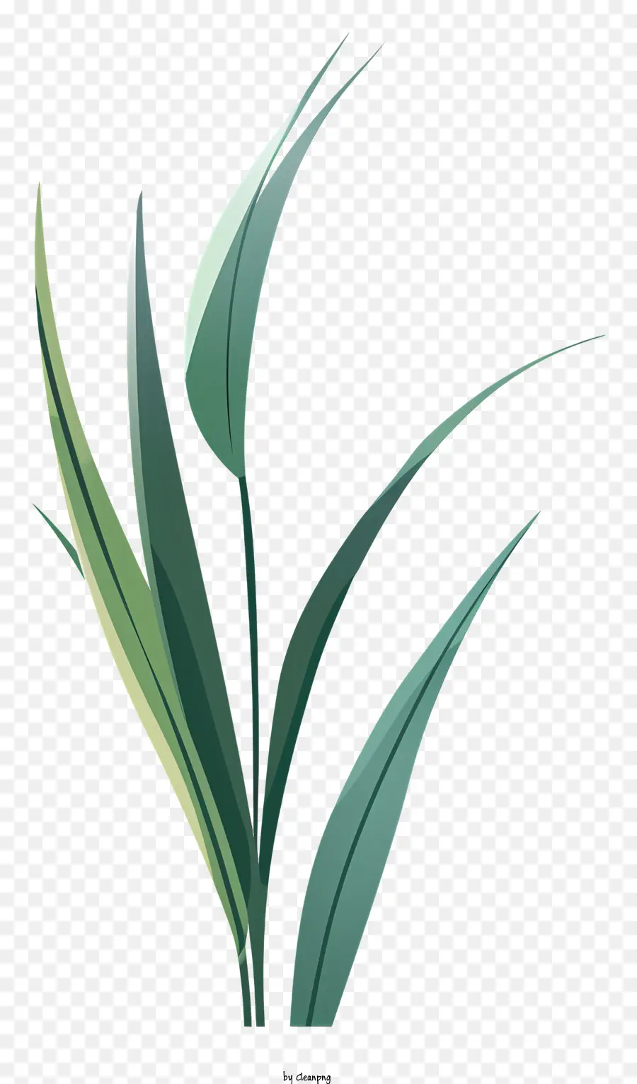 небольшой трава，зеленый лист PNG