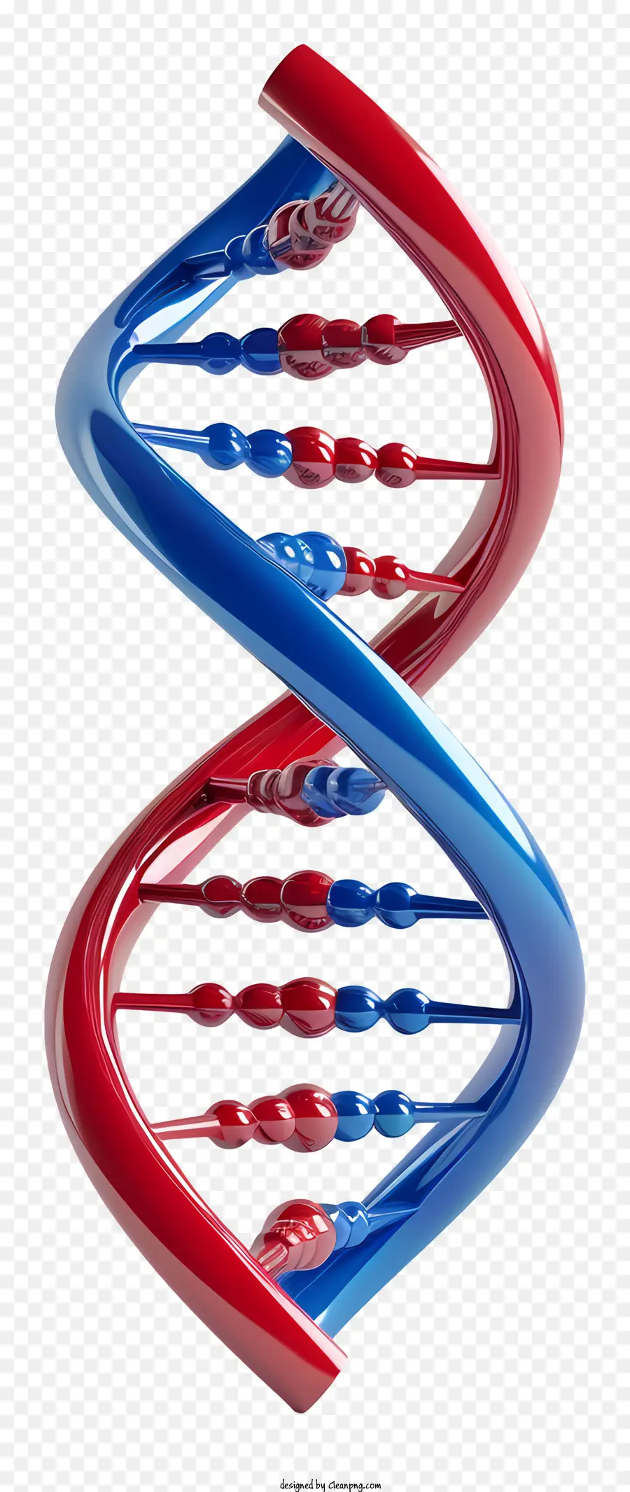 Красная и синяя ДНК，ДНК PNG