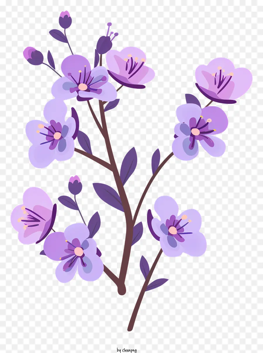 Цветение фиолетовых цветов，фиолетовый цветок PNG