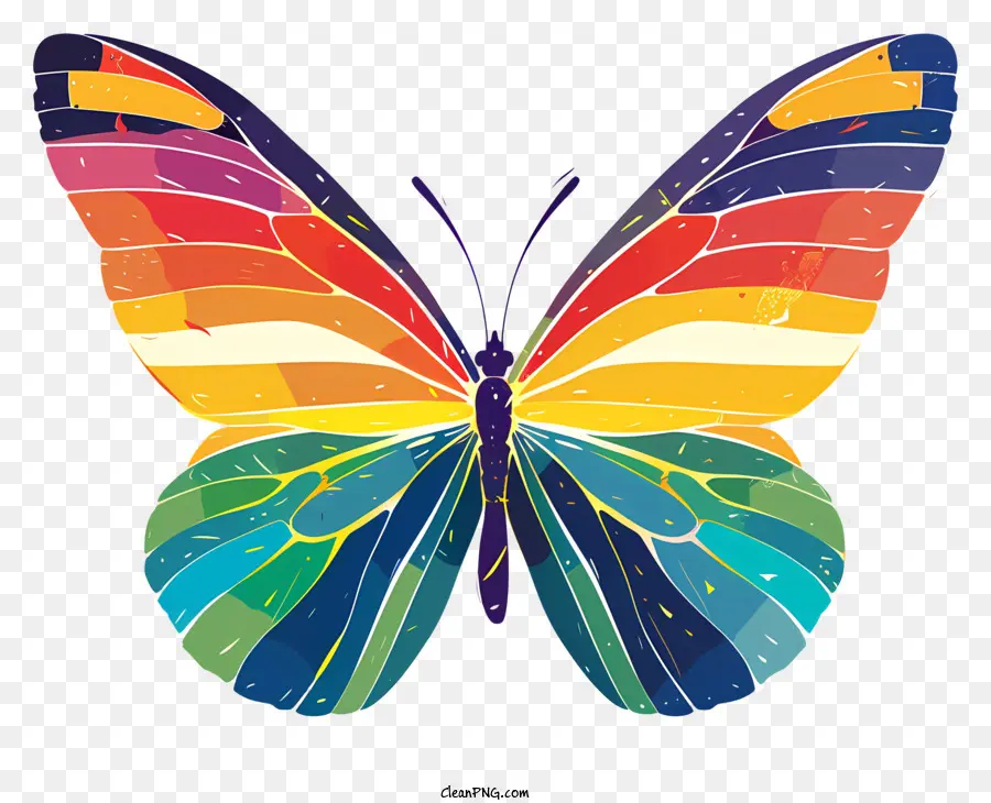 Бабочка，радужная бабочка PNG