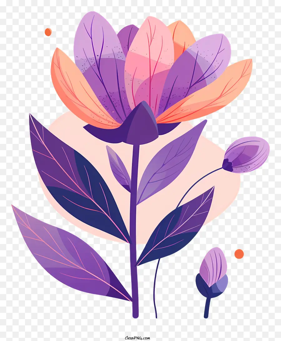 фиолетовый цветочный веточка，цветок PNG