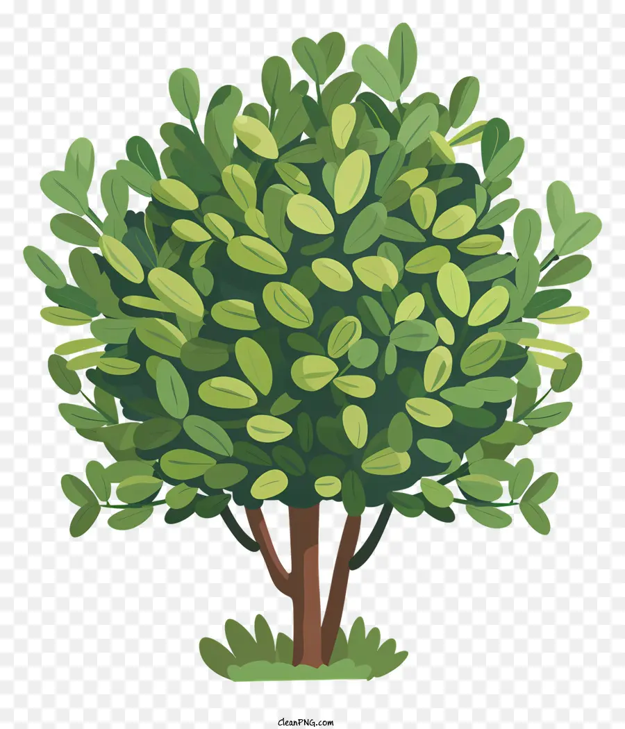 Кустарник，зеленое дерево PNG
