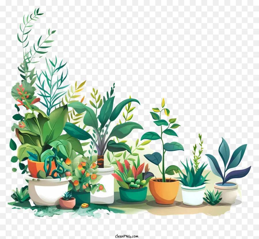 День Озеленения，комнатные растения PNG