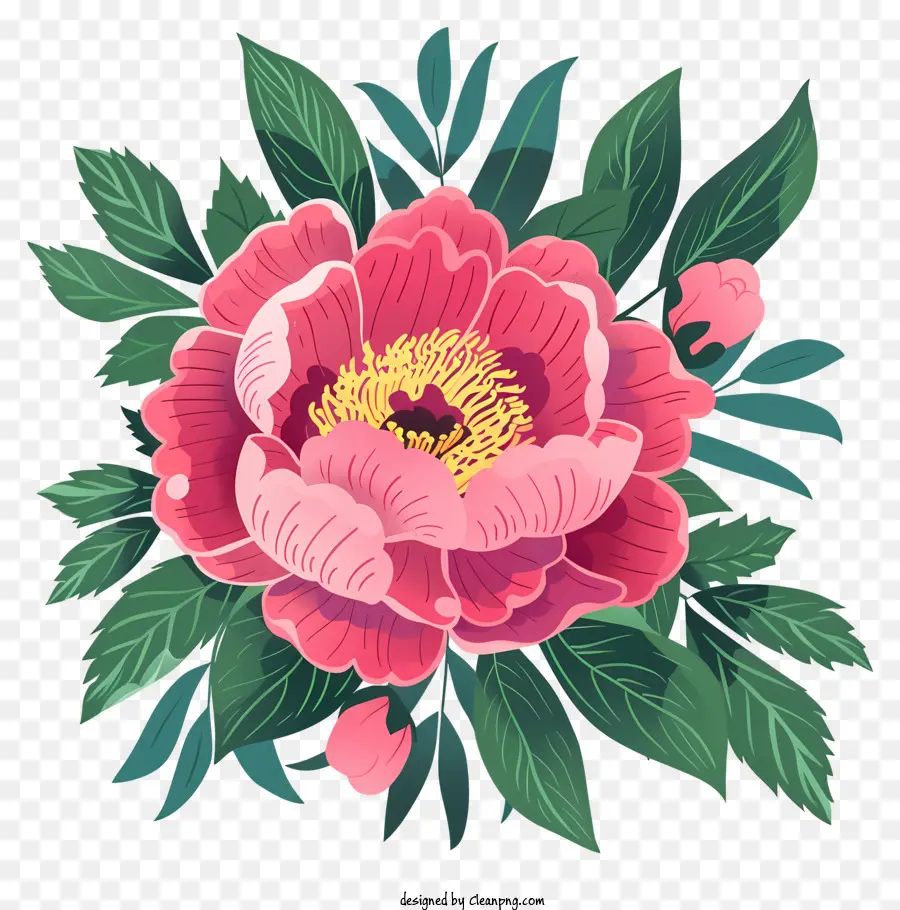 пион цветок，розовые лепестки PNG